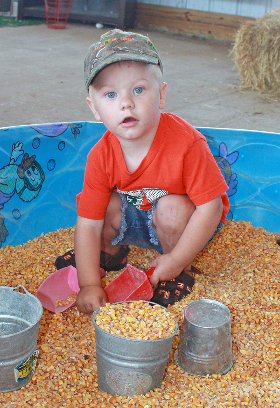 Ten years of promoting farming at the Morrison County Fair’s Ag Learning Center